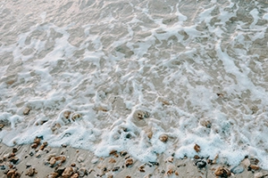 The El Niño–Southern Oscillation