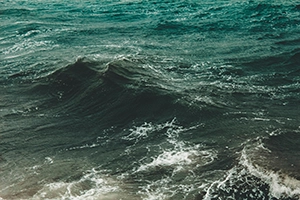 The Gulf Stream